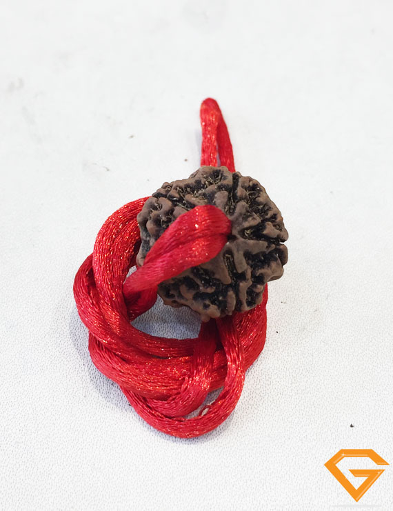 5 Mukhi Natural Certified Rudraksha Pendant Size- 22 mm